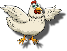 Gallinella